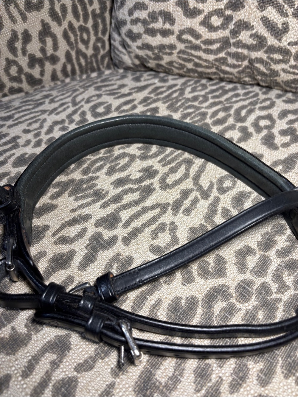 NWT* Vespucci plain raised crank Noseband (missing chin pad) cob size - Picture 7 of 11